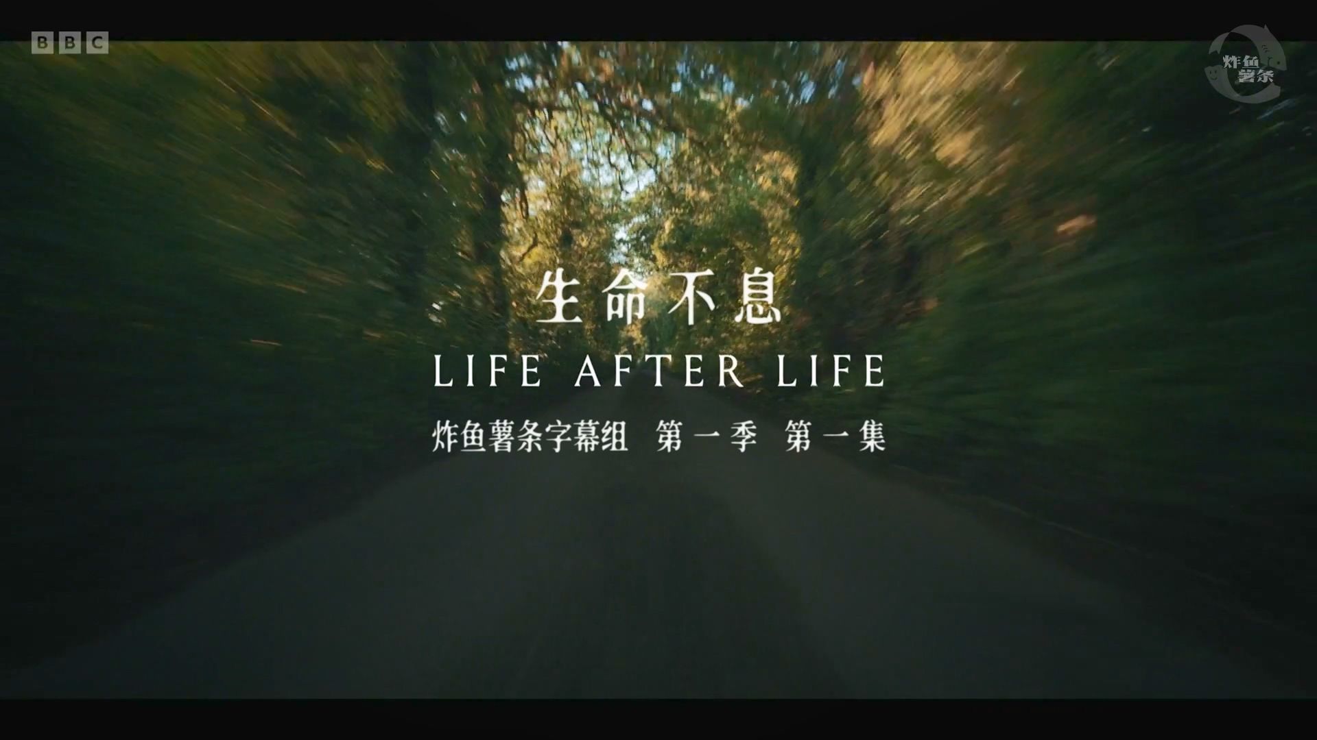 生命不息 Life After Life 第1季第1集P1 [奇幻][女性][英剧][炸鱼薯条字幕组][中英特效字幕]哔哩哔哩bilibili