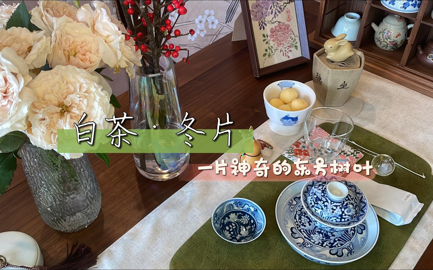 酌饮|静闻清露坠,凉送好风来—今日饮茶:白茶冬片(一片树叶里竟然有风花雪月?清新一夏就靠它了!)哔哩哔哩bilibili