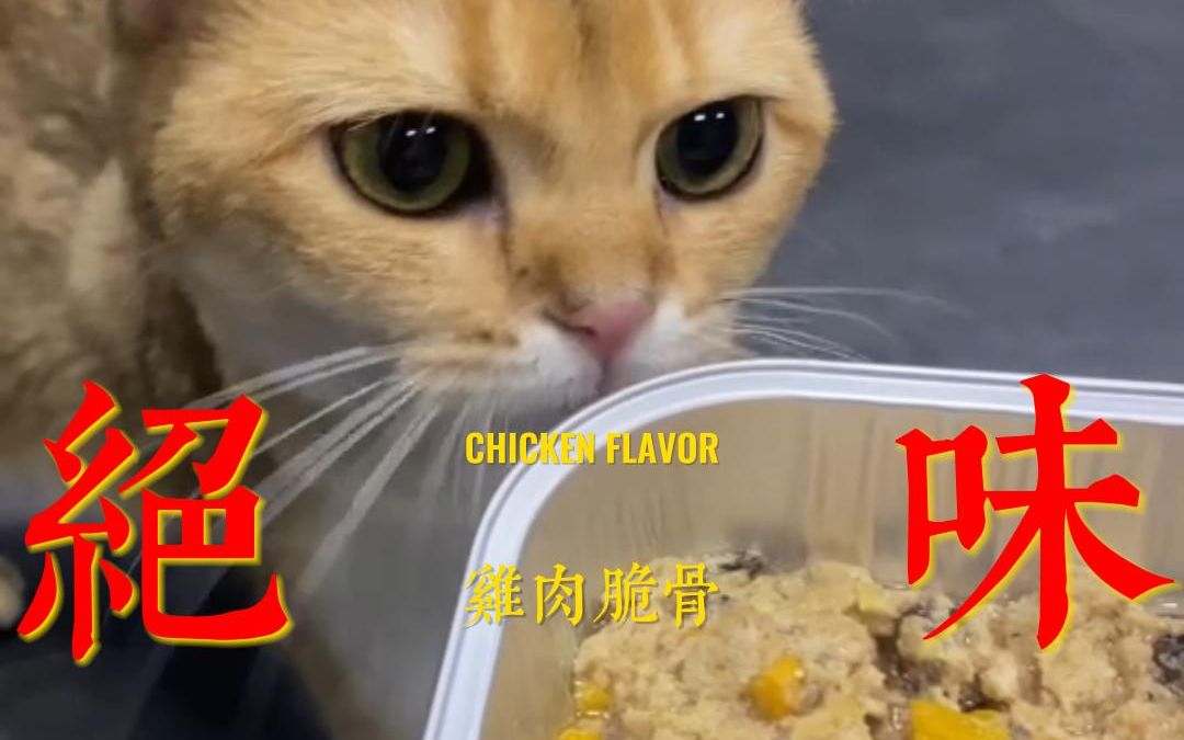 【猫饭系列】猫饭如何做哔哩哔哩bilibili