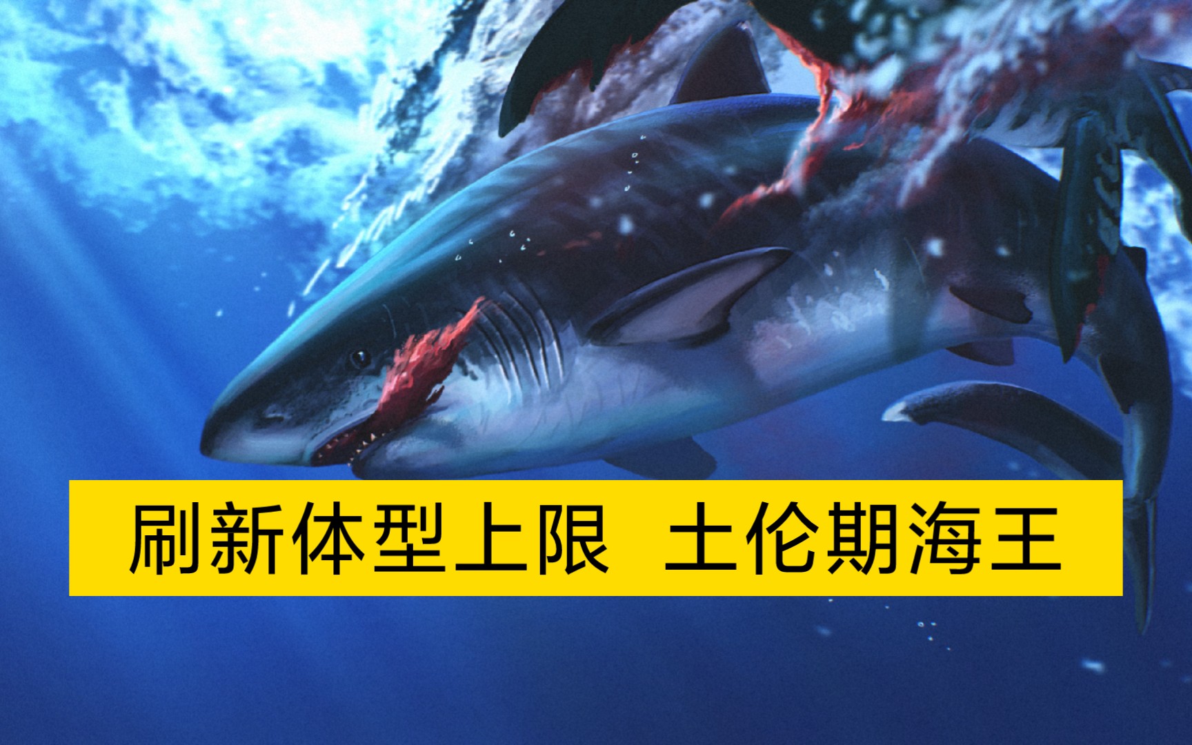 【重齿白垩齿鲨】体型上限10米+成为土伦期的海王哔哩哔哩bilibili