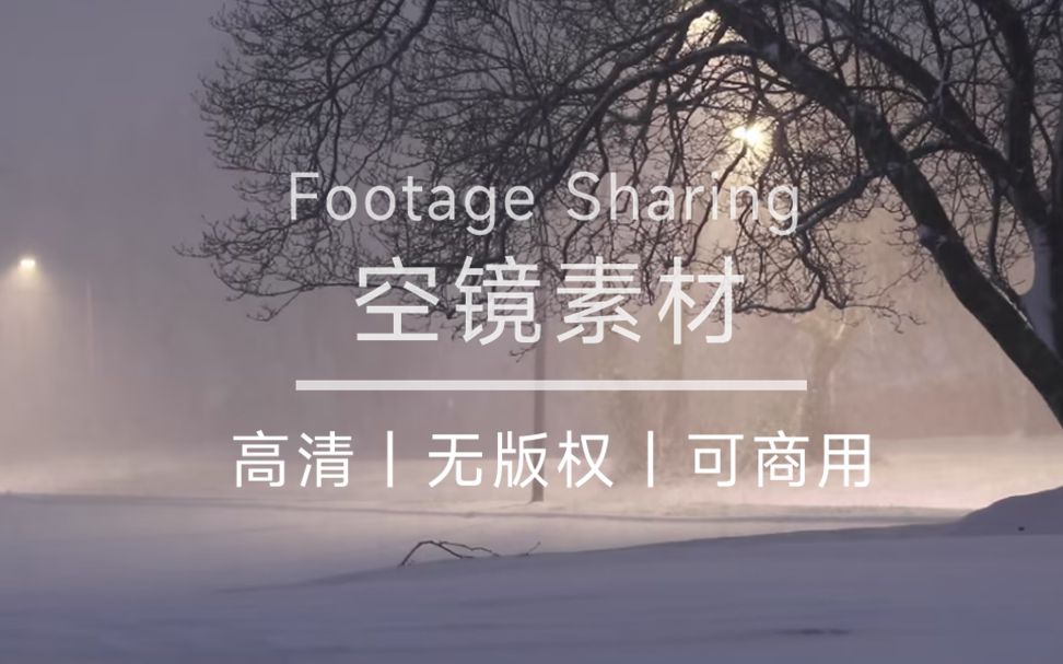 【无版权空镜】雪景路灯浪漫氛围,CC0协议无版权视频素材,简介自取哔哩哔哩bilibili