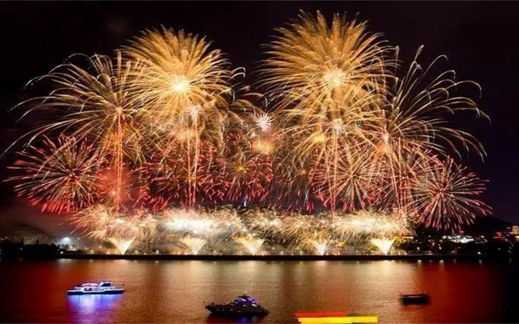 烟花水母【182-7315-0186】(今日科普)