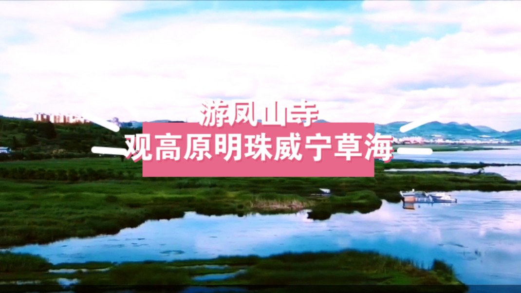 游凤山寺,观高原明珠威宁草海!
