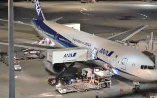 羽田空港 搜索结果 哔哩哔哩 Bilibili