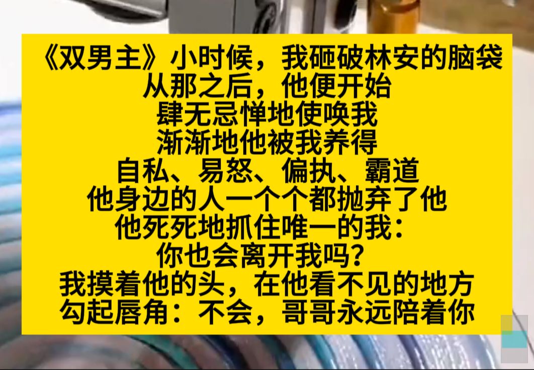 原耽推文 小时候,我砸破林安的脑袋,从那以后,他肆无忌惮使唤我……哔哩哔哩bilibili