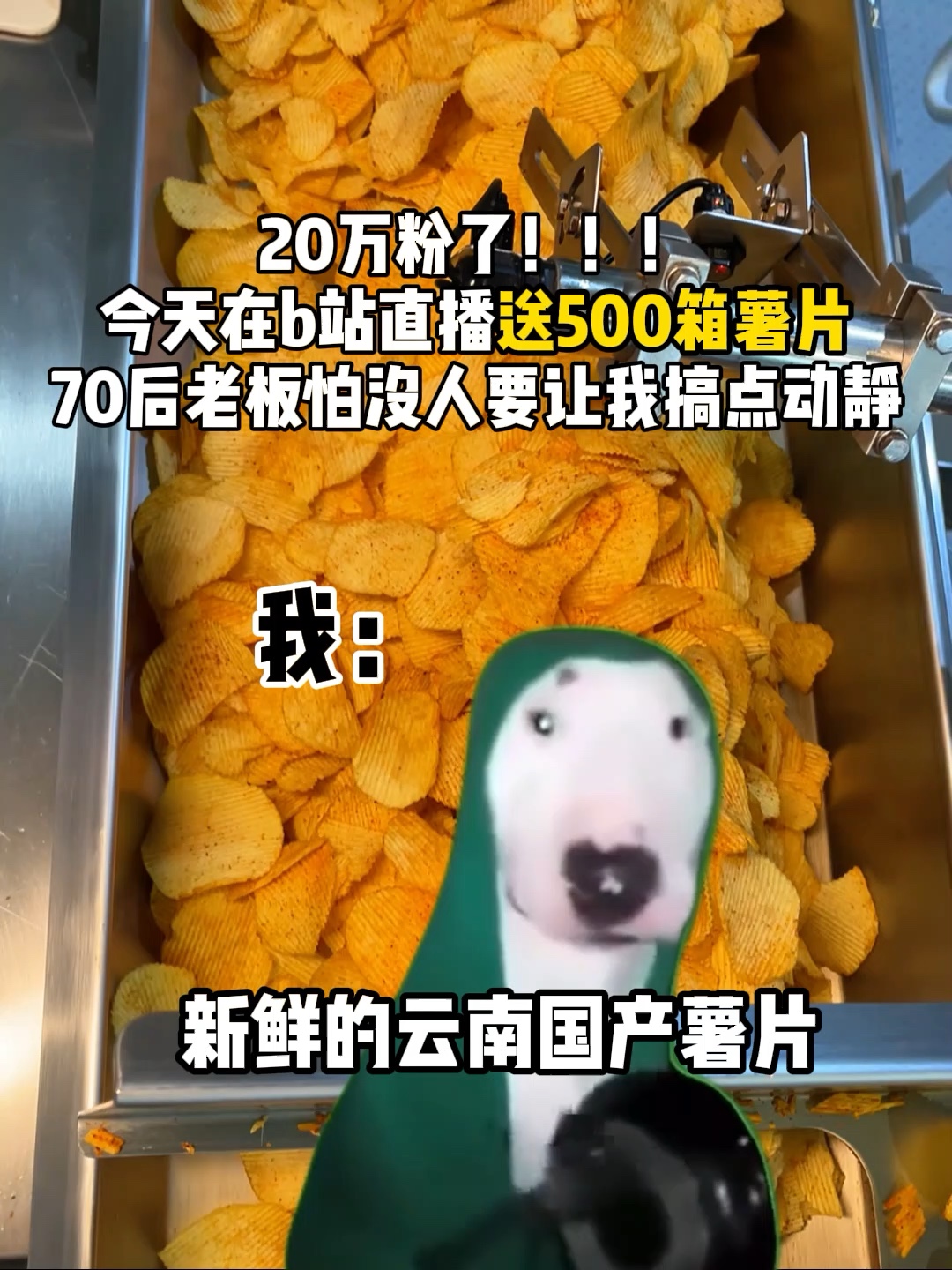 今天20万粉直播送500箱薯片,老板让我在直播间搞点动静!