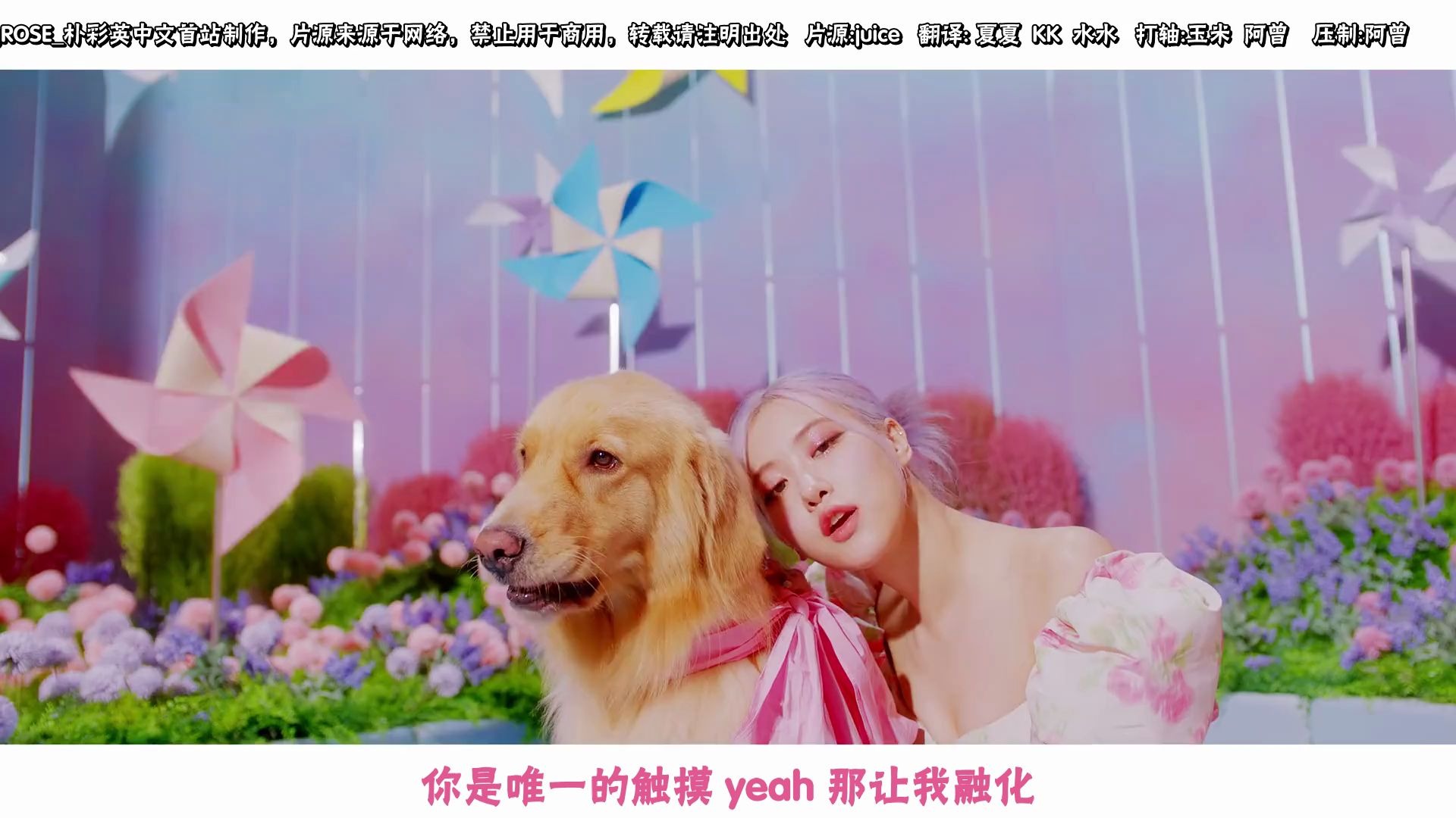 blackpink"冰淇淋"中字