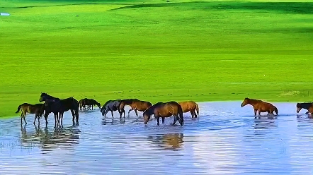 [图]生命里最暖的 不是相遇 不是一见钟情，而是 山一程 水一程，始终如初见。#草原#风景#治愈