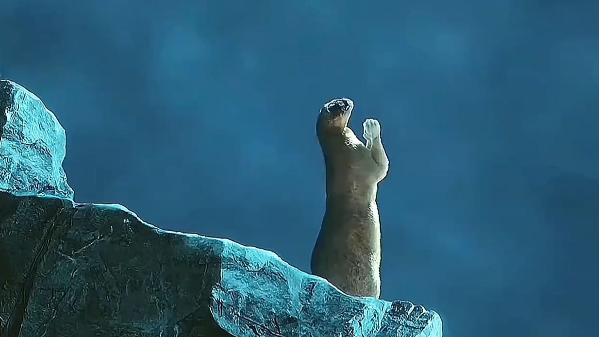 黄鼠狼双手合一对着月亮参拜竟直接下起大雨