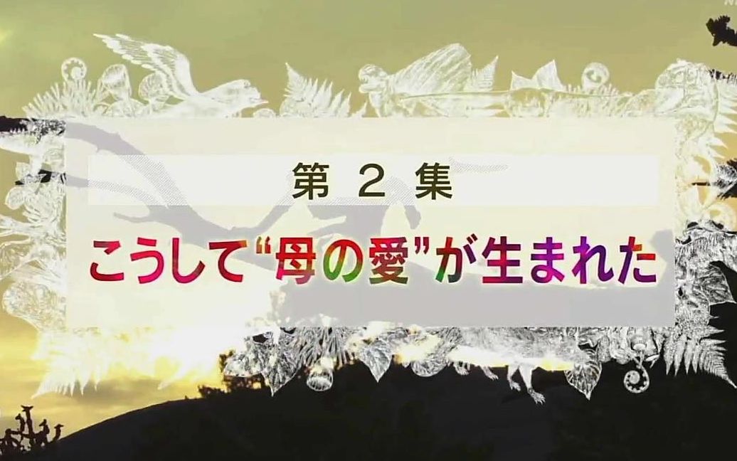Nhk 生命大躍進第二集 日语学习 Nhk 生命大跃进第二集 爱哔哩 B站视频 音频mp3解析下载站