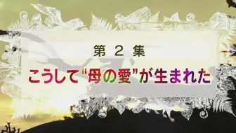 日语学习 Nhk 生命大跃进第一集 哔哩哔哩 Bilibili