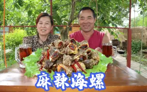 Tải video: 粉丝送来一箱海螺，食叔一锅给炖了，麻辣鲜香，老婆子吃美了