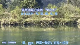 下载视频: 温州话是方言的活化石，温州当中有很多古代汉字，如：滗、掼、䞁、㫰、瞪#方言 #温州方言 #吴方言