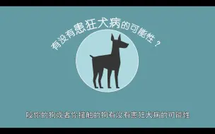 Download Video: 被猫狗抓伤后，怎么判断是否患上狂犬病？