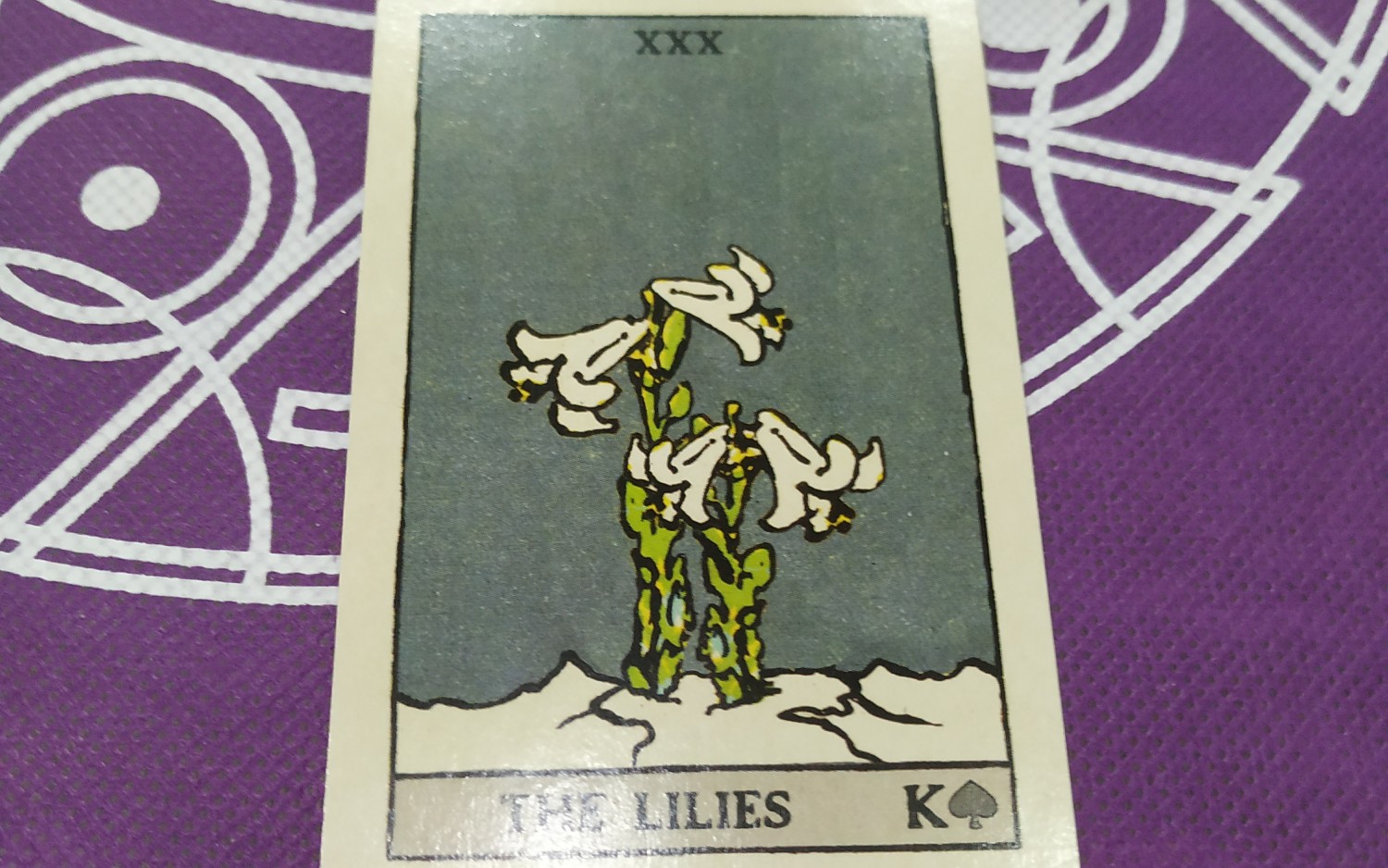 看图说话雷诺曼利诺曼30号牌百合花