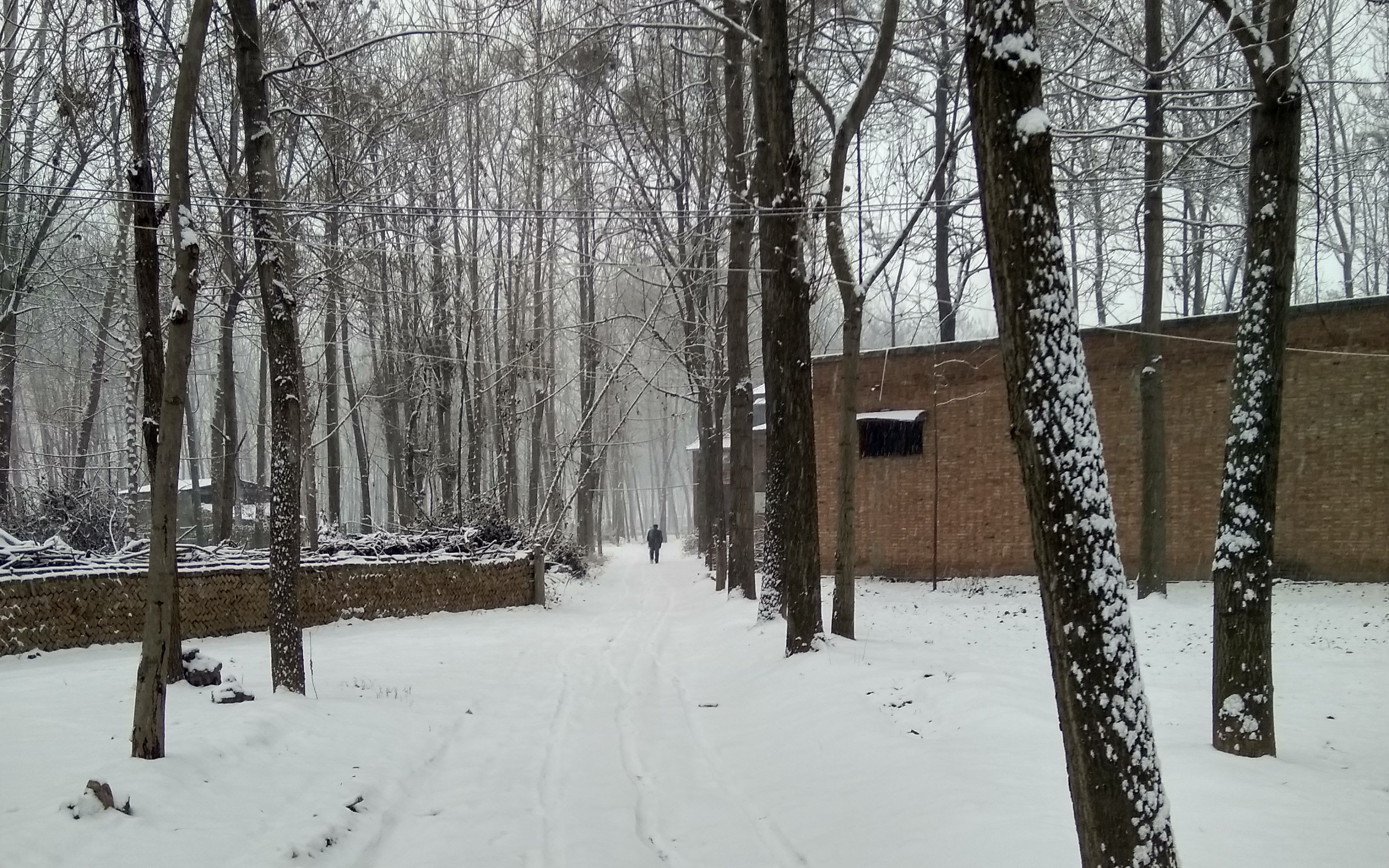 我的大中國-河南睢縣-老家的第二次降雪,記錄下