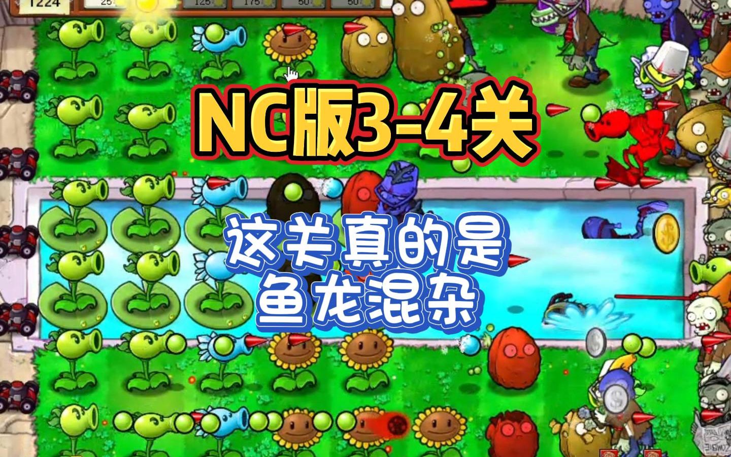 nc版冒險模式3-4:時隔半月,蹭點花生流量_pvz_實況解說