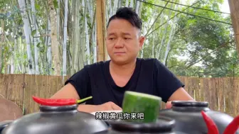 下载视频: 辣椒黄瓜，哪个更好吃？