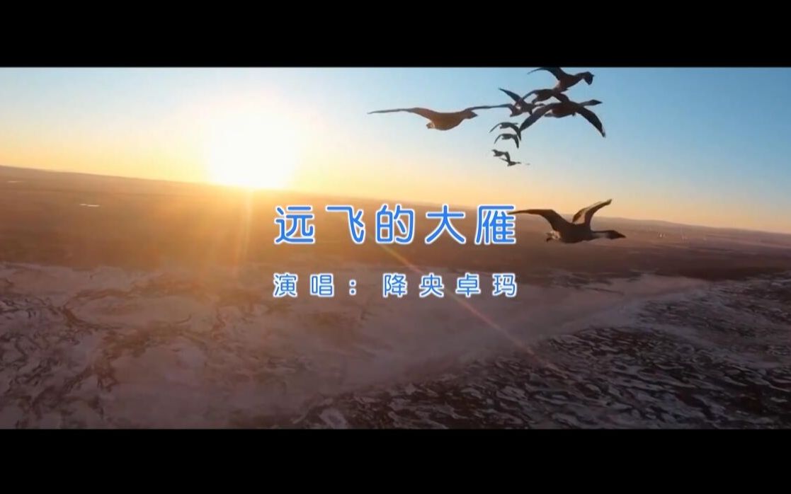 【官方高清KTV版MV】降央卓玛《远飞的大雁》哔哩哔哩bilibili