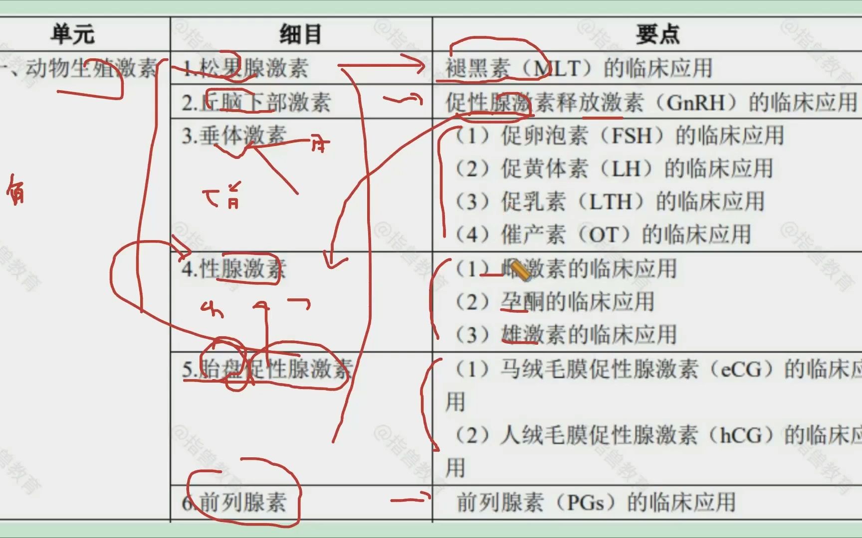 [图]指兽教育2022年执业兽医兽医产科第1节课