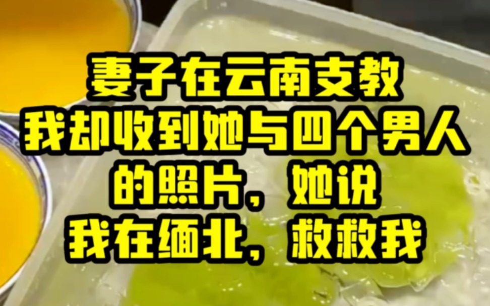 妻子去云南支教后被人柺卖到缅北,我接到一个神秘电话…哔哩哔哩bilibili