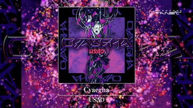 专辑】【ヾ(゜Д゜)ノハードコアタノシー (HARDCORE TANO*C) 】TANO*C