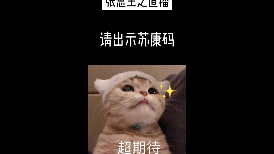 【张思王之】哈哈哈我的快乐源泉哔哩哔哩bilibili