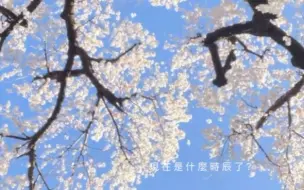 Download Video: 馥甄的限动：330记录，生日快乐