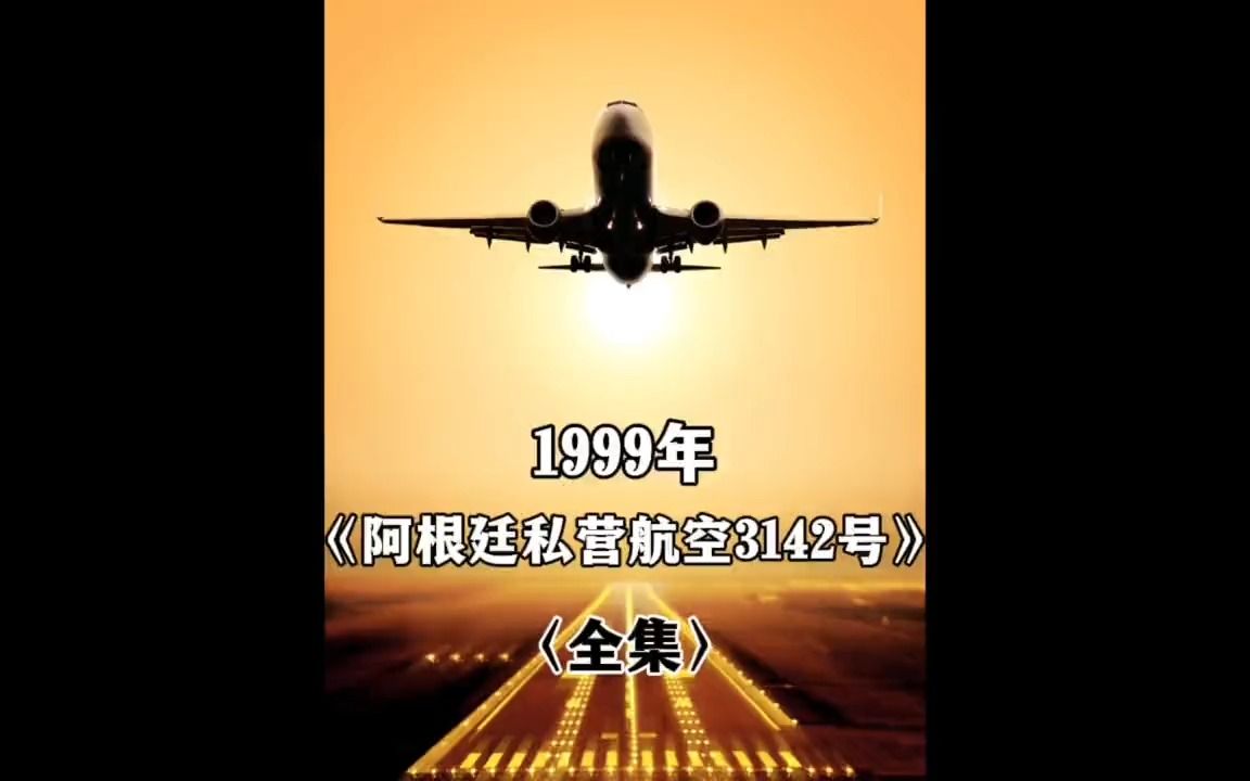 阿根廷私营航空3142号班机空难事故解析(全集)飞行员和空姐闲聊哔哩哔哩bilibili