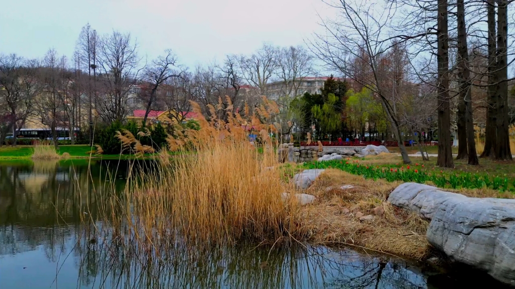 飞跃青岛之中山公园小西湖
