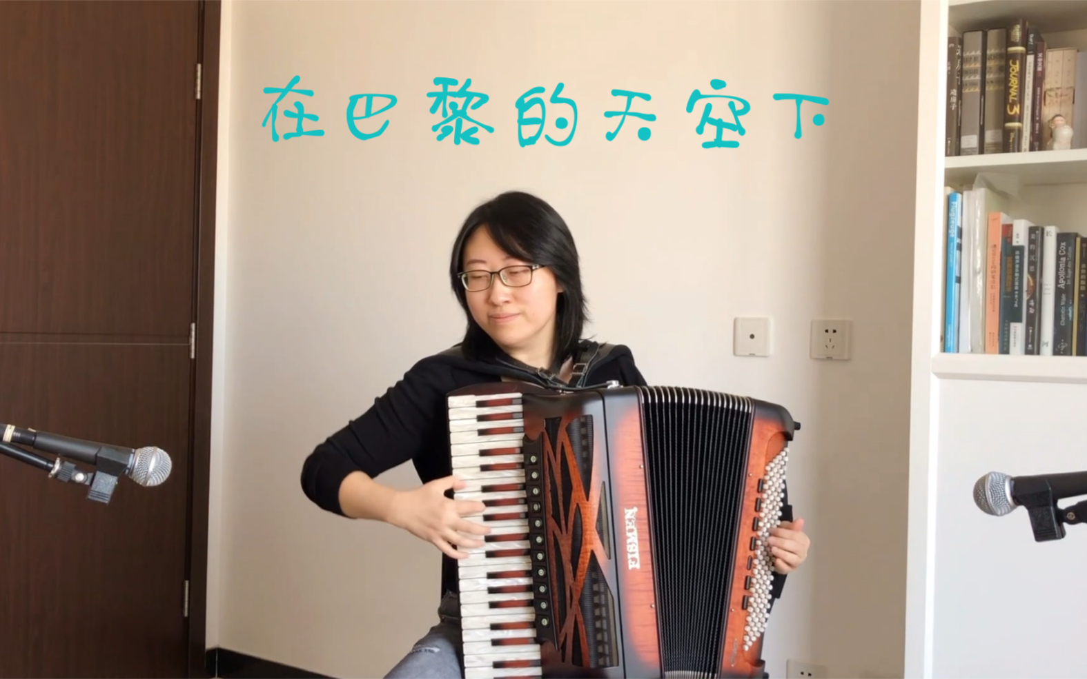 手风琴在巴黎的天空下