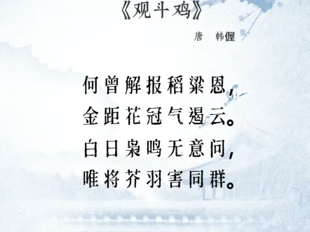 古诗词鉴赏~观斗鸡哔哩哔哩bilibili