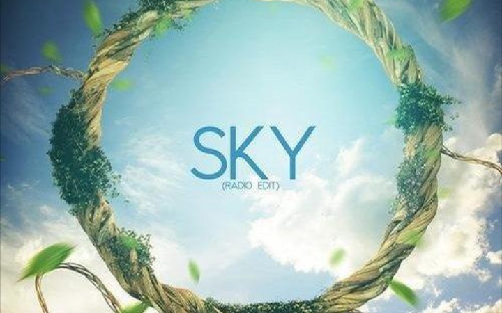 每日一推 Sky (Radio Edit)哔哩哔哩bilibili