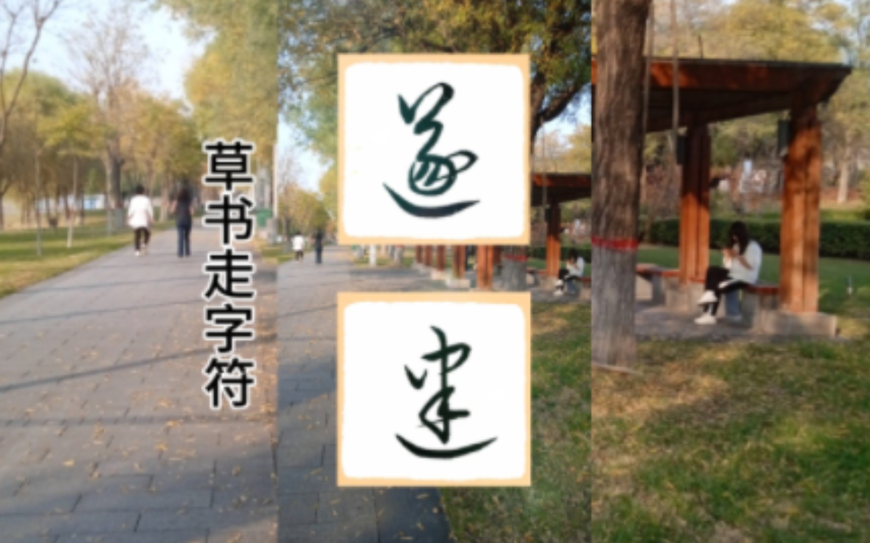 草书走字符,遂、建的写法.哔哩哔哩bilibili