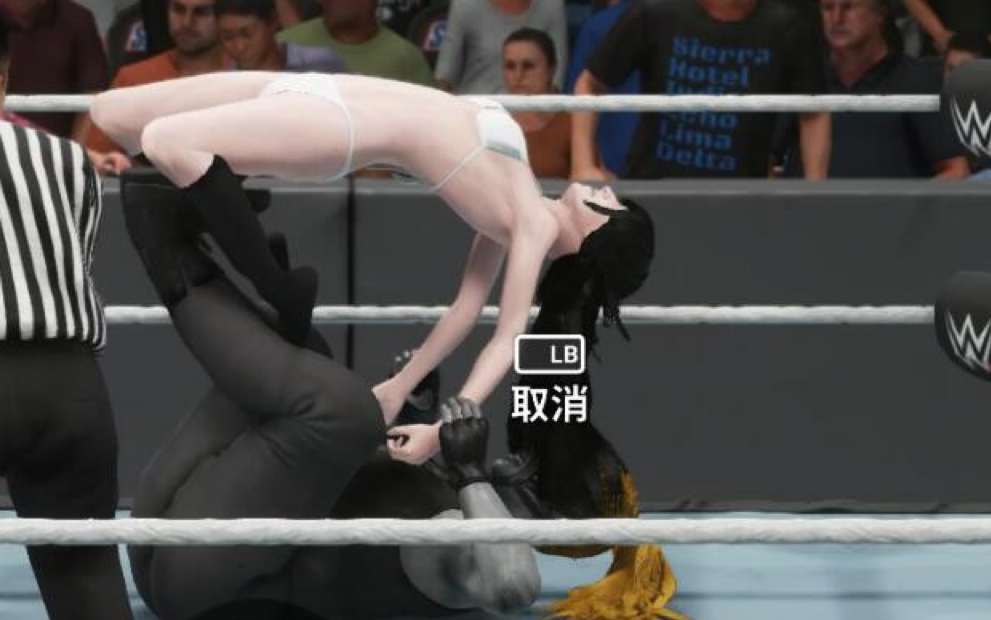 [图]WWE2019动漫全明星少女摔角狂热大赛 你的本命准备好战斗了吗？