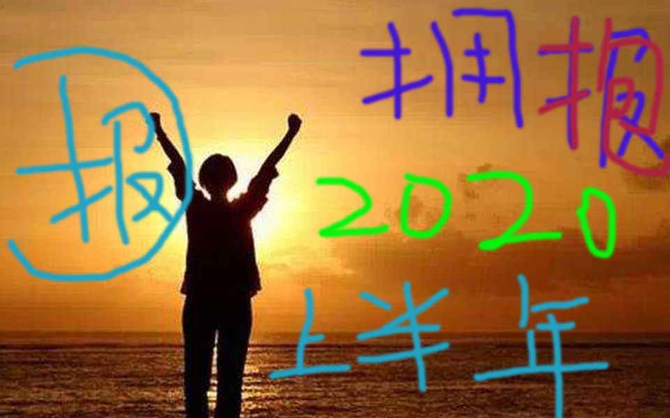 【安提半年报】2020年上半年经济局势及行业分析哔哩哔哩bilibili