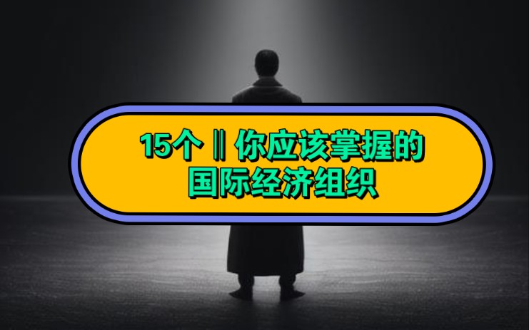 财经干货#15个‖全球重要的国际经济组织哔哩哔哩bilibili