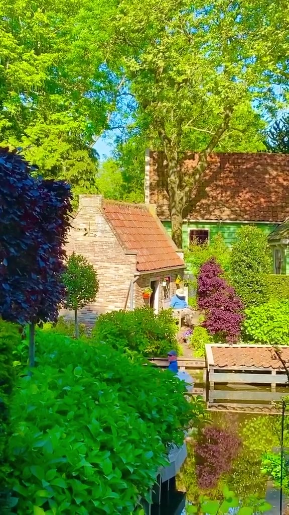 荷兰乡村的生活场景田园风光 带你看世界 看着风景美如画 宅在家里看