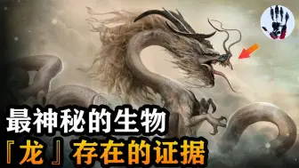 八千年前的先民遗址，挖出近20米龙型堆塑，细数龙存在的证据！