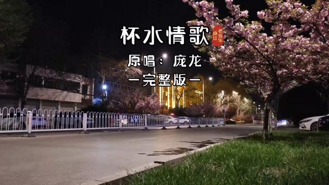 [图]2006年流行歌曲，第34集，《杯水情歌》庞龙。