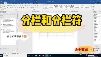 分栏和分栏符的区别