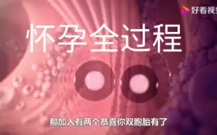 Download Video: 女性“怀孕”的过程，到底是怎么样的？3D动画告诉你！