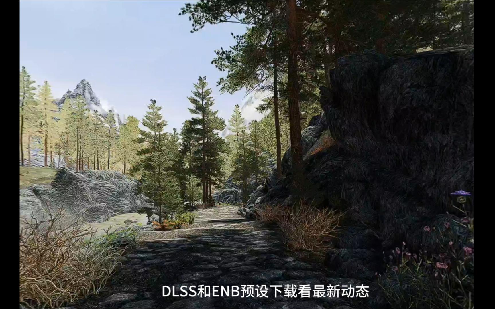 【上古卷轴5VR】假如接近现实的整合包更新了DLSS-糙汉晓白-糙汉晓白-哔哩哔哩视频