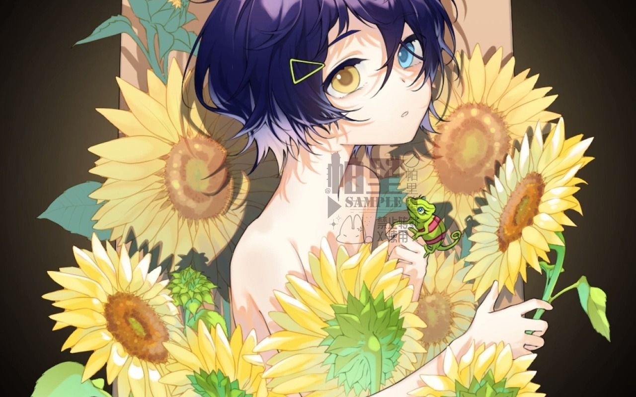 奇蛋物语丨大户爱丨向日葵少女