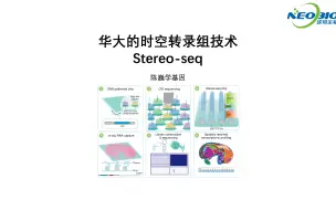 下载视频: 【陈巍学基因】视频109: 华大时空转录组技术 Stereo-seq