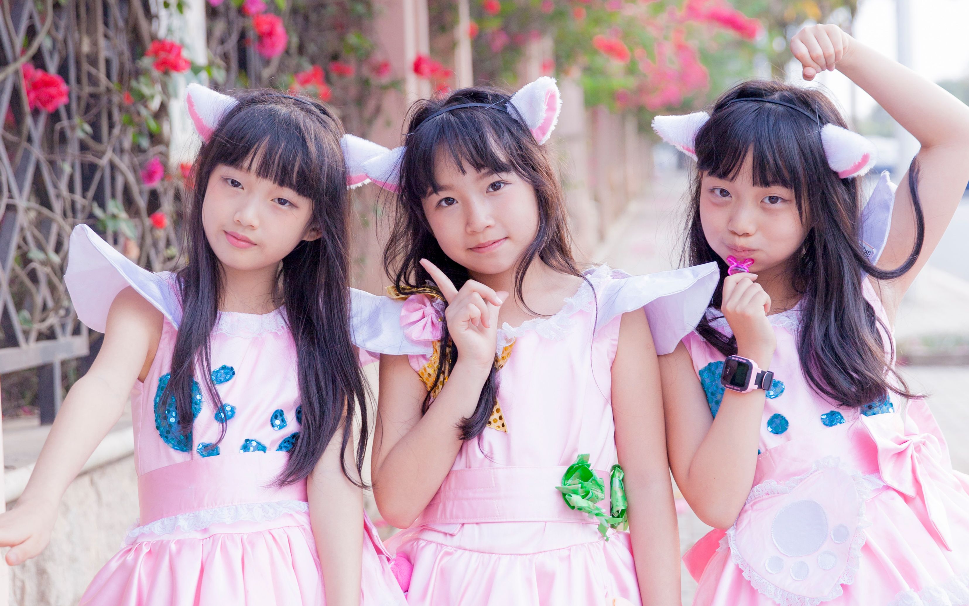 萝莉向|【flycats!】start dash! 2017南宁东盟博览动漫游戏展live