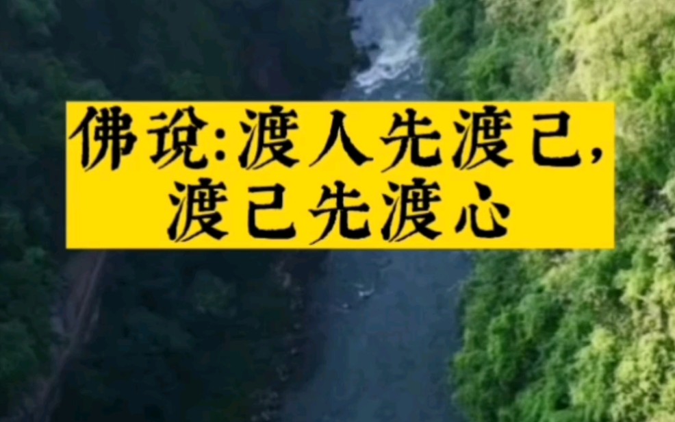 渡人先渡心,帮人亦是帮己.真心助人,别人也会做你的摆渡人.哔哩哔哩bilibili