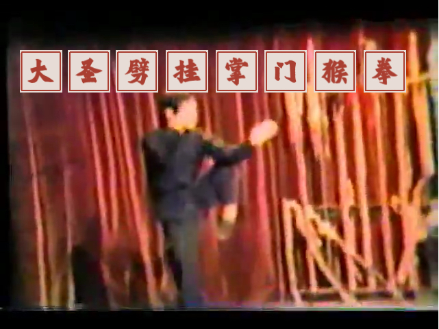 大圣劈挂掌门陈秀中猴拳演练