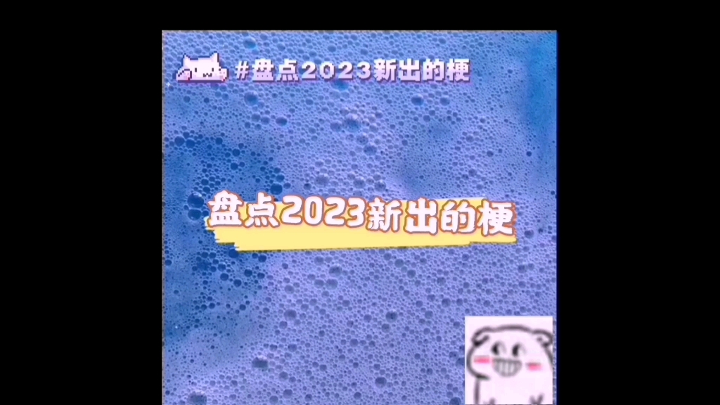 [图]盘点2023新梗