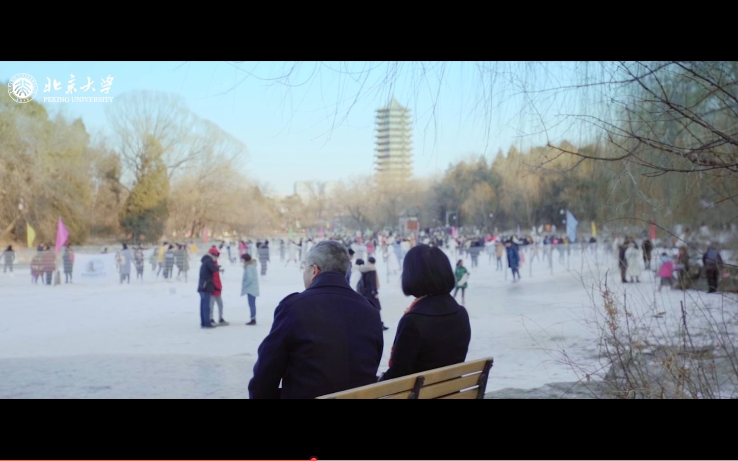 [图]北大学人七夕特辑 | 程和平院士与肖瑞平教授，当科研遇上爱情